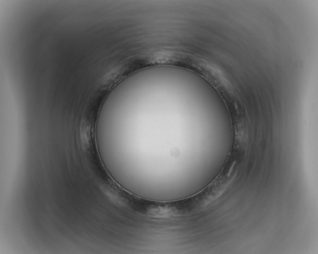 X0000110900503200906251340