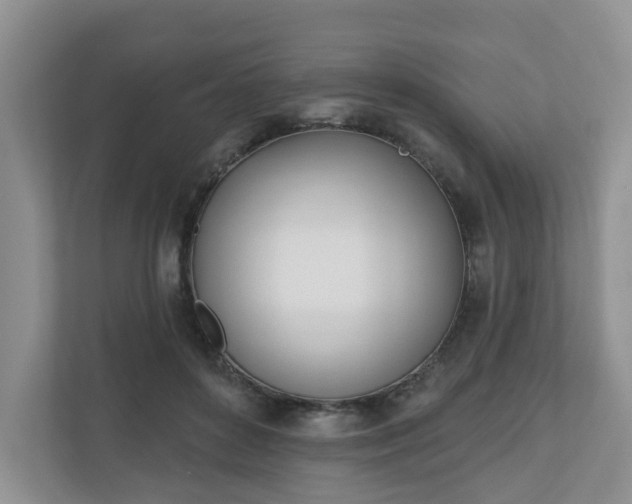 X0000110900504200906251340