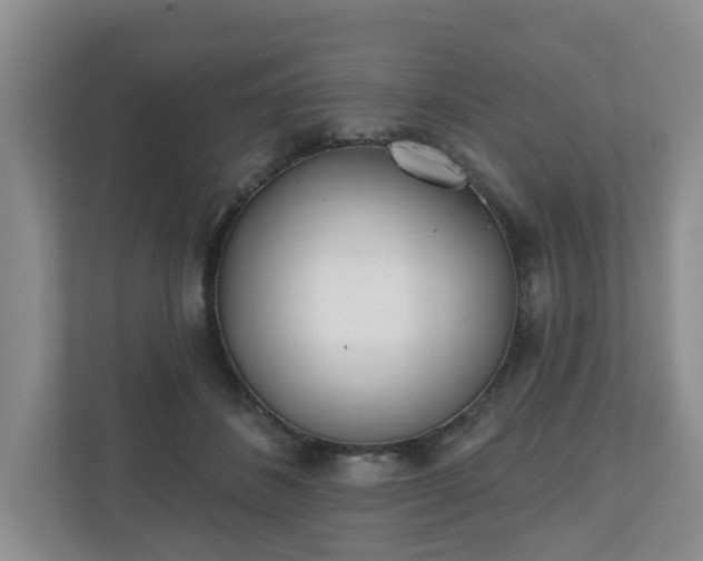 X0000110900508200906251340
