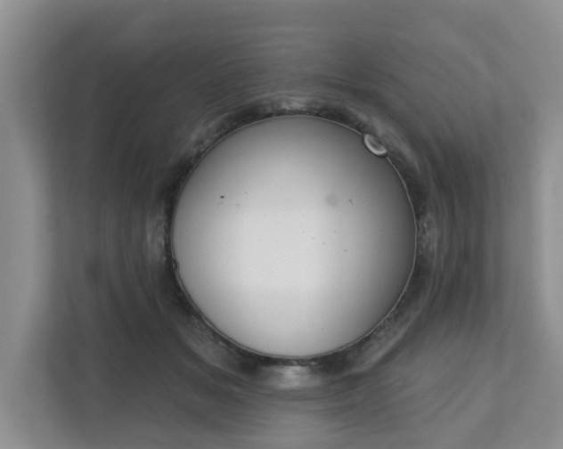 X0000110900509200906251340