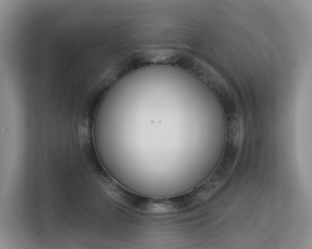 X0000110900510200906251340