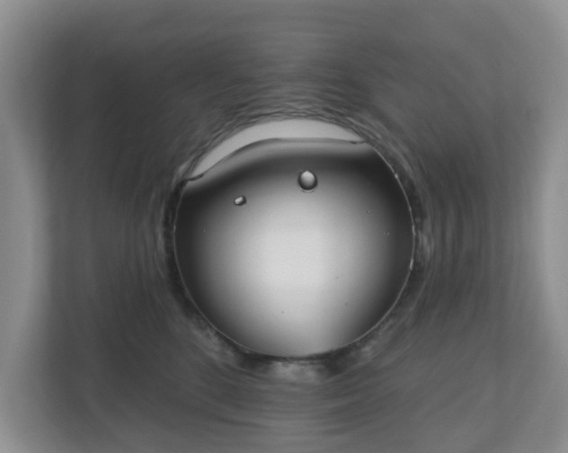 X0000110900520200906251340