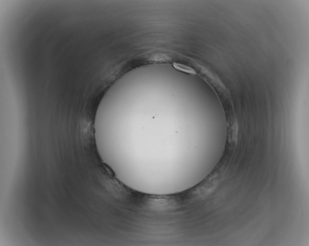 X0000110900521200906251340