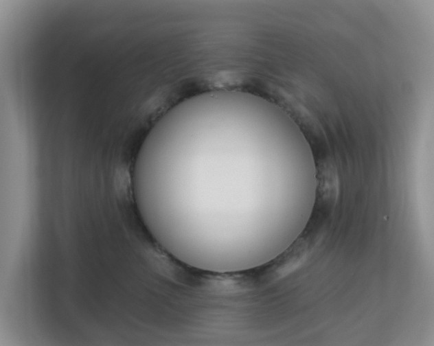 X0000110900523200906251340