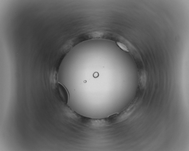 X0000110900525200906251340