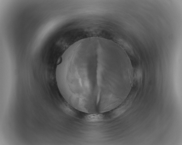 X0000110900526200906251340