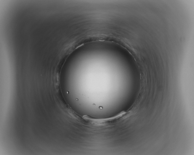 X0000110900528200906251340