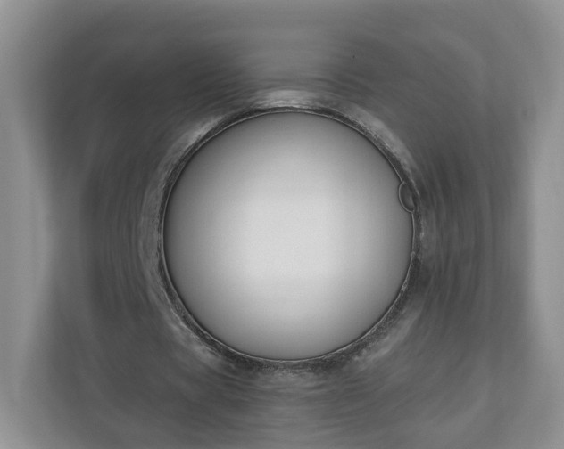 X0000110900529200906251339