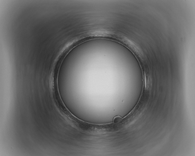 X0000110900531200906251339