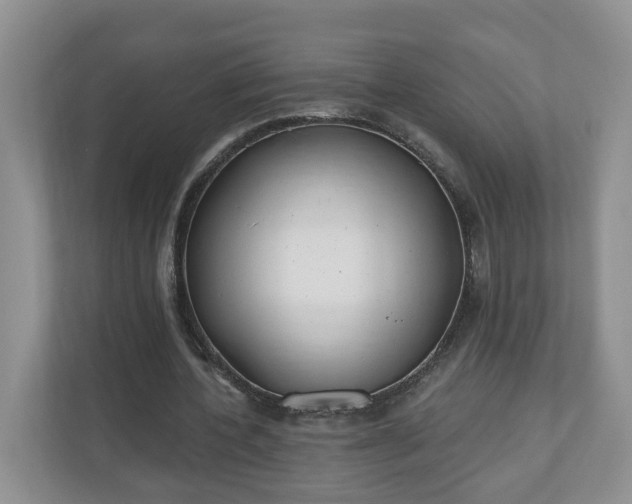 X0000110900532200906251339