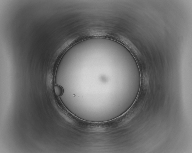 X0000110900533200906251339