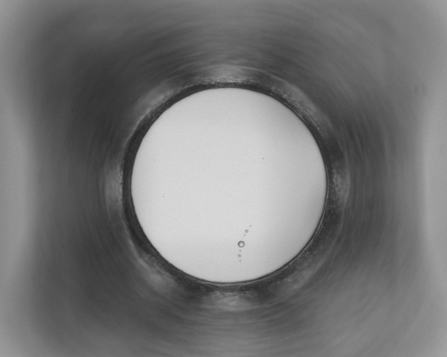 X0000110900534200906251339