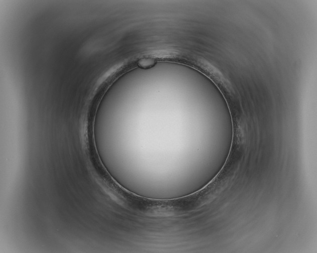 X0000110900535200906251339
