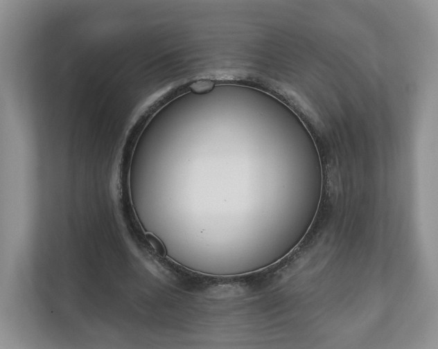 X0000110900536200906251339
