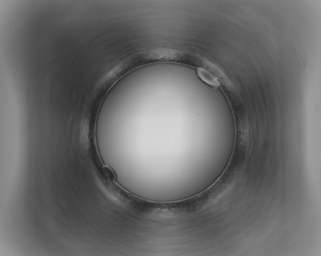 X0000110900538200906251339