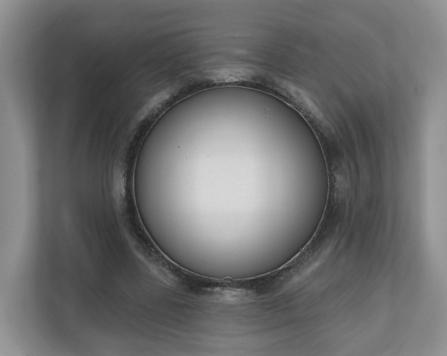 X0000110900539200906251339