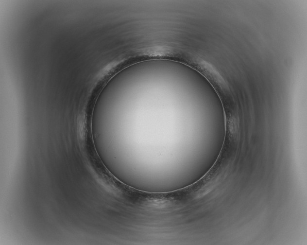 X0000110900540200906251339