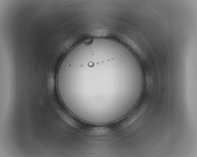 X0000110900541200906251339