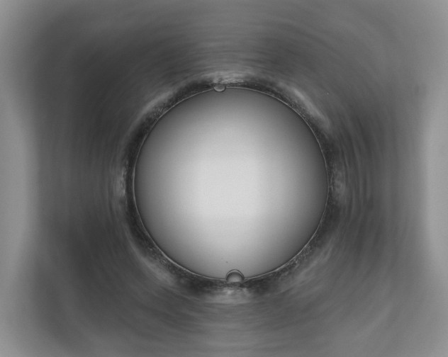 X0000110900543200906251339