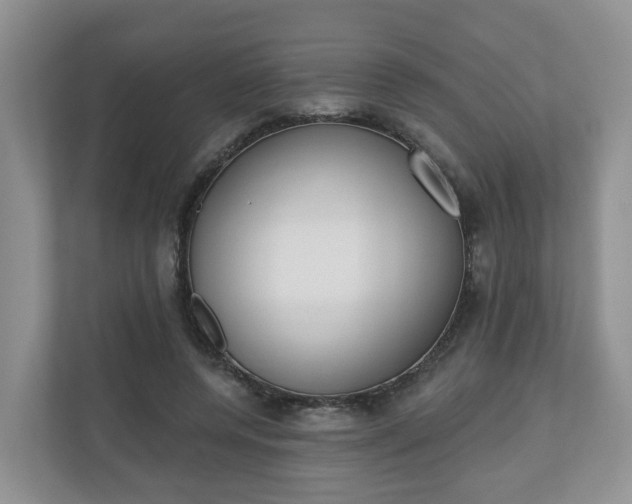 X0000110900544200906251339