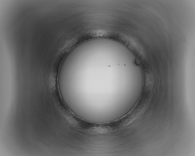 X0000110900545200906251339