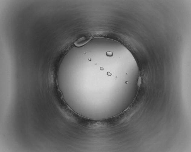 X0000110900546200906251339