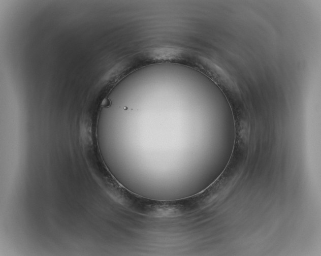 X0000110900547200906251339