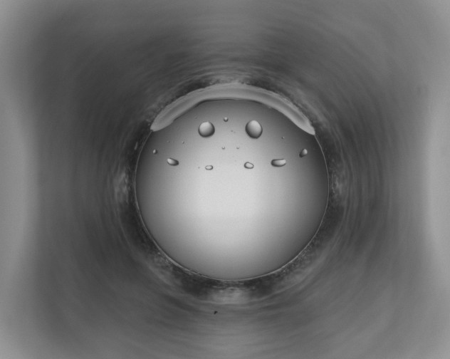 X0000110900551200906251339