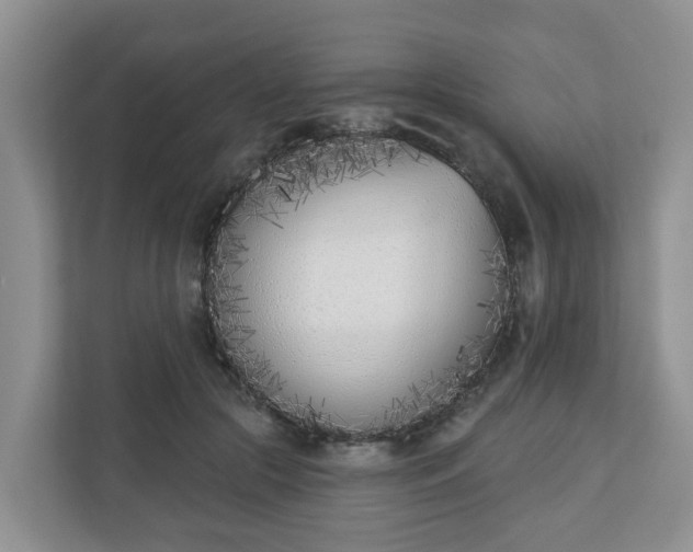 X0000110900553200906251339
