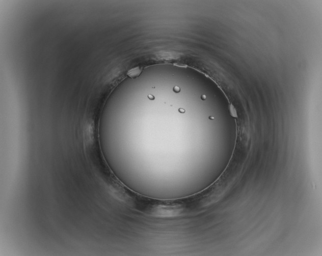 X0000110900556200906251340