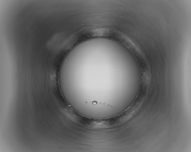 X0000110900557200906251340