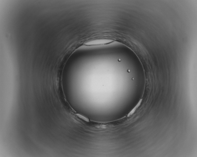 X0000110900558200906251340