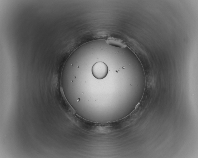 X0000110900560200906251340