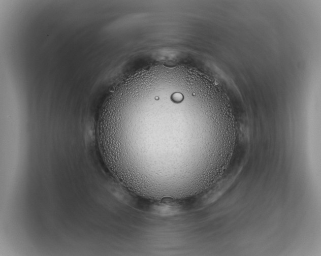 X0000110900561200906251340