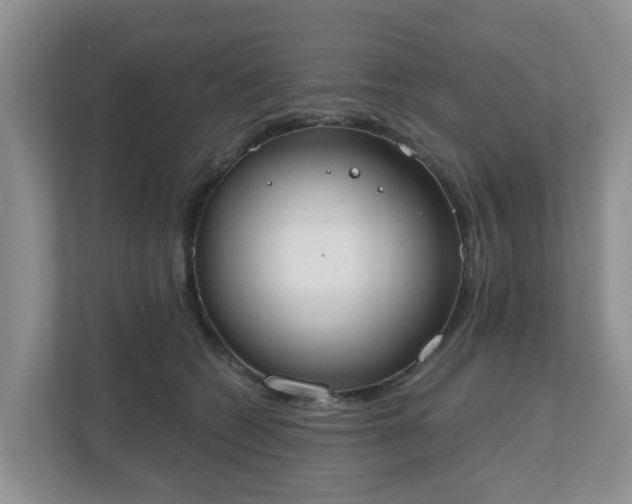 X0000110900562200906251340
