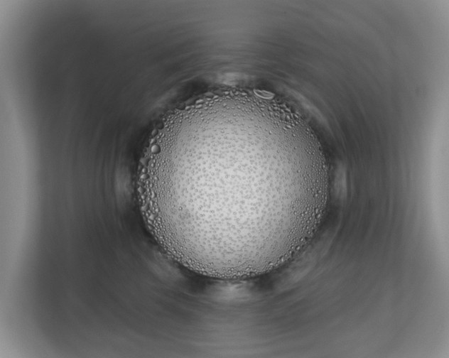 X0000110900569200906251340