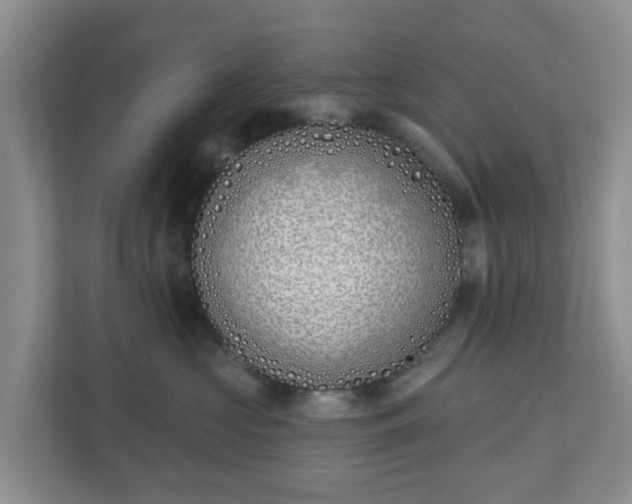 X0000110900573200906251340
