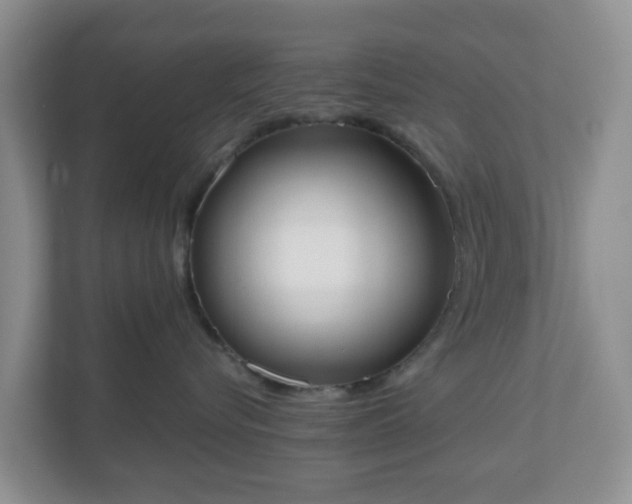 X0000110900576200906251340