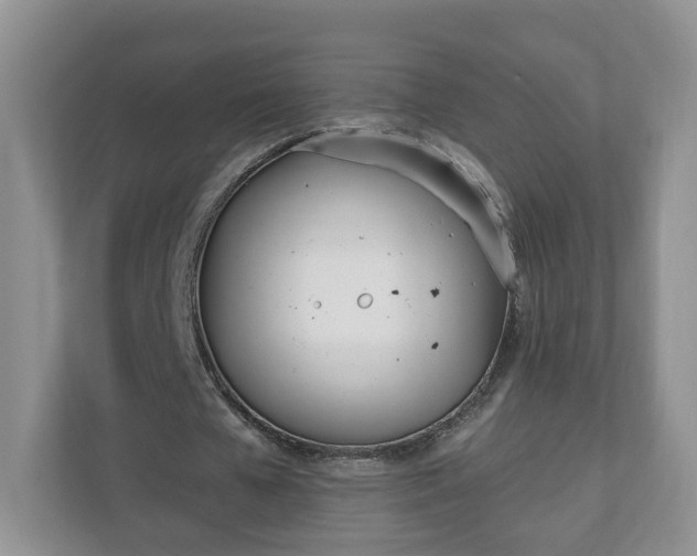 X0000110900577200906251339