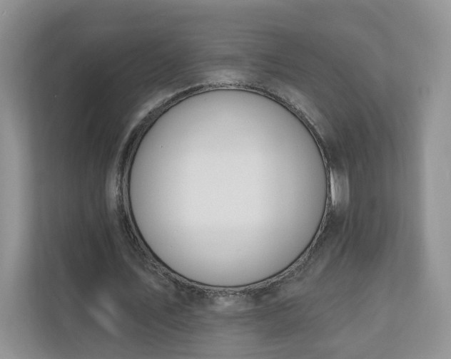 X0000110900579200906251339