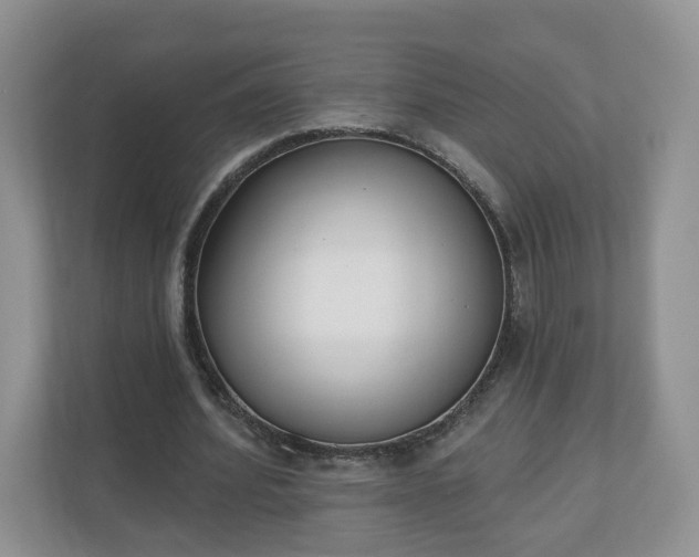 X0000110900580200906251339