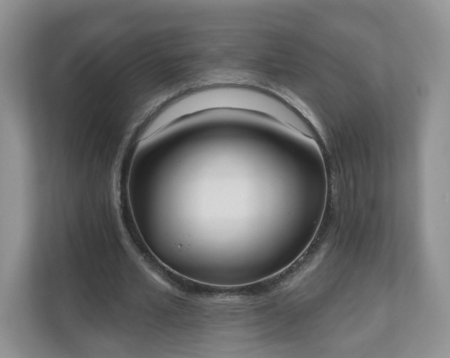 X0000110900581200906251339