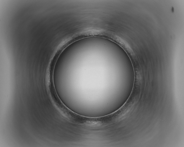 X0000110900582200906251339