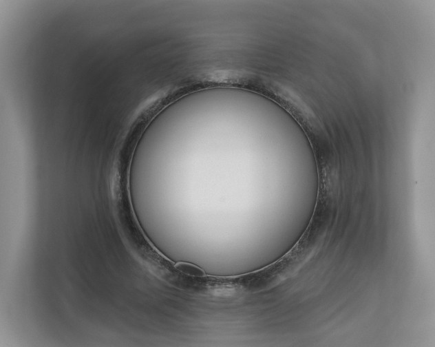 X0000110900587200906251339