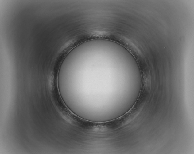 X0000110900591200906251339