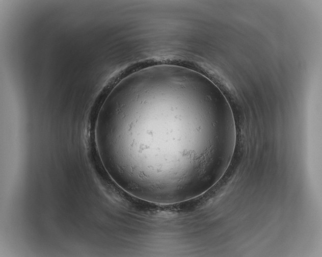 X0000110900592200906251339