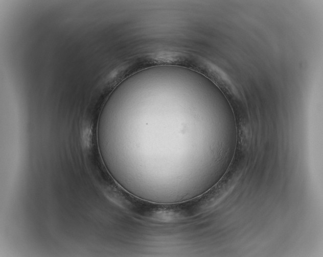 X0000110900596200906251339