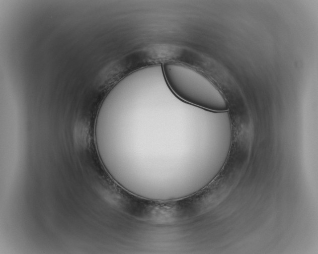X0000110900599200906251339