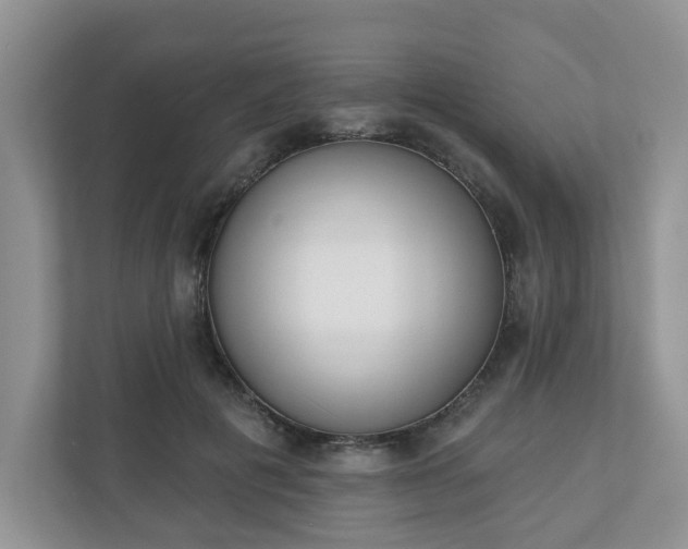 X0000110900601200906251339
