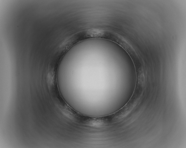 X0000110900604200906251339